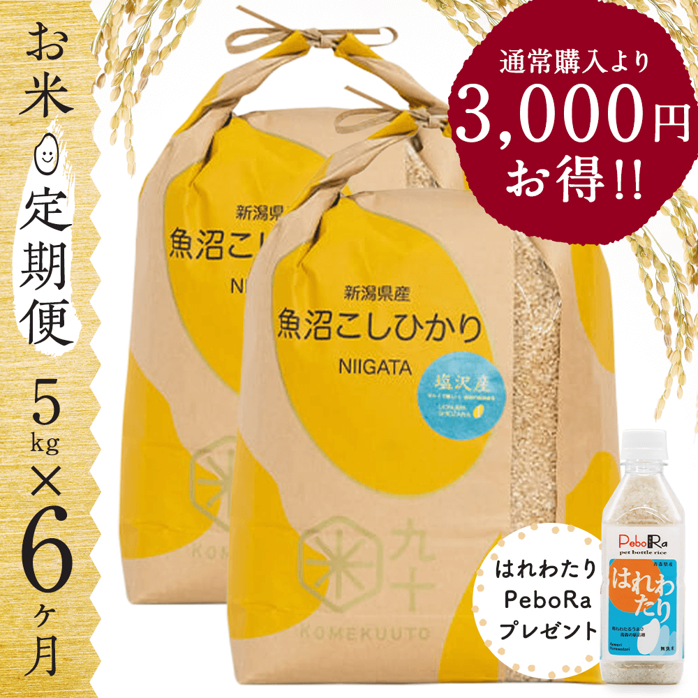 【お米★定期便・6ヶ月コース】新潟県産 魚沼こしひかり 5kg